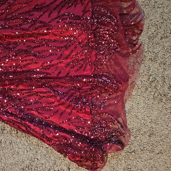 Stunning gown! - Picture 7 of 14